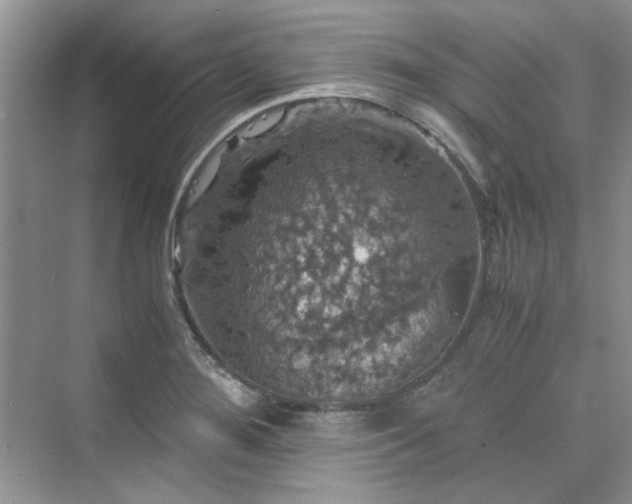 X0000075811276200609291335