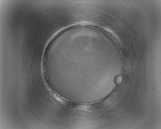 X0000075811278200609291335