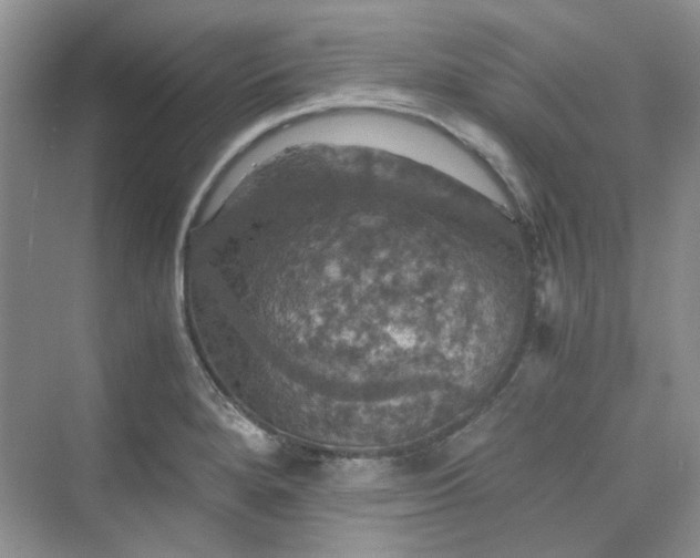 X0000075811280200609291335