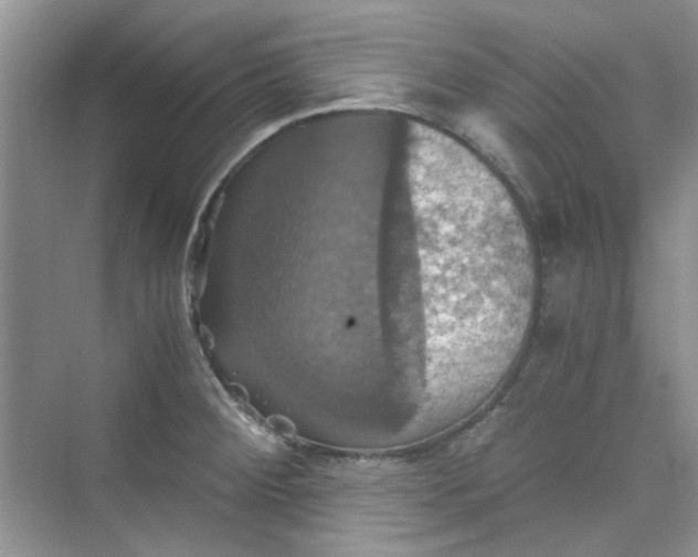 X0000075811284200609291335