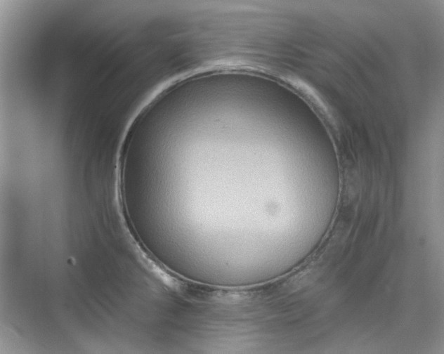 X0000075811286200609291335