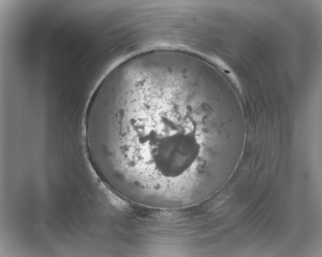 X0000075811287200609291335