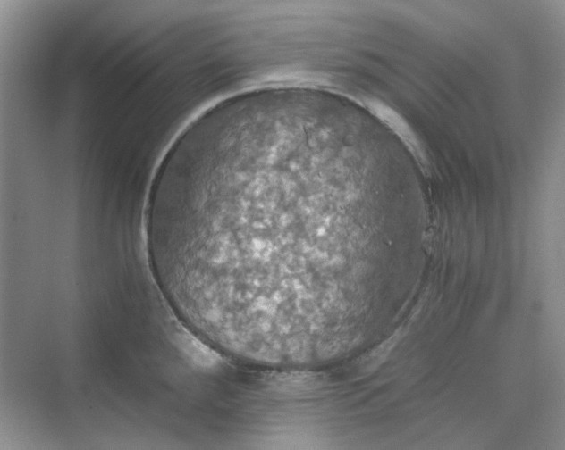 X0000075811288200609291335