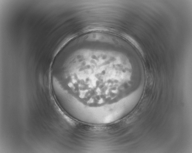 X0000075811290200609291335