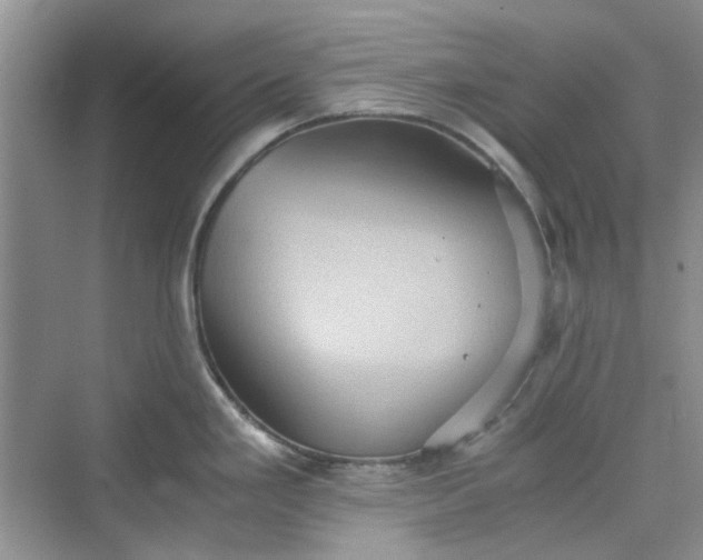 X0000075811293200609291335