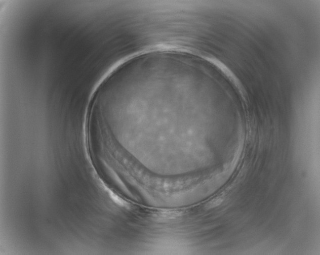 X0000075811294200609291335