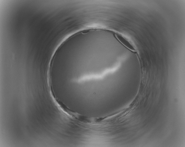 X0000075811295200609291335