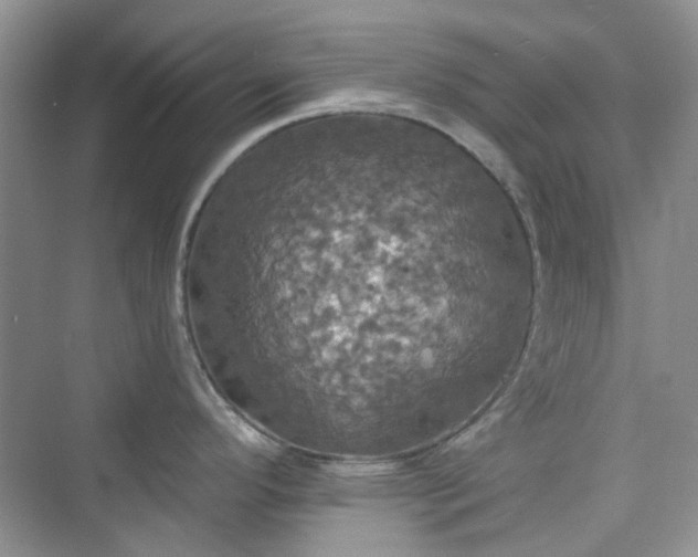 X0000075811296200609291335