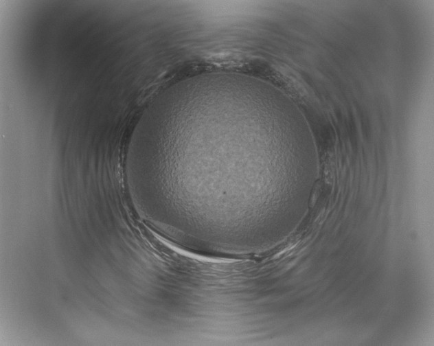 X0000075811298200609291334