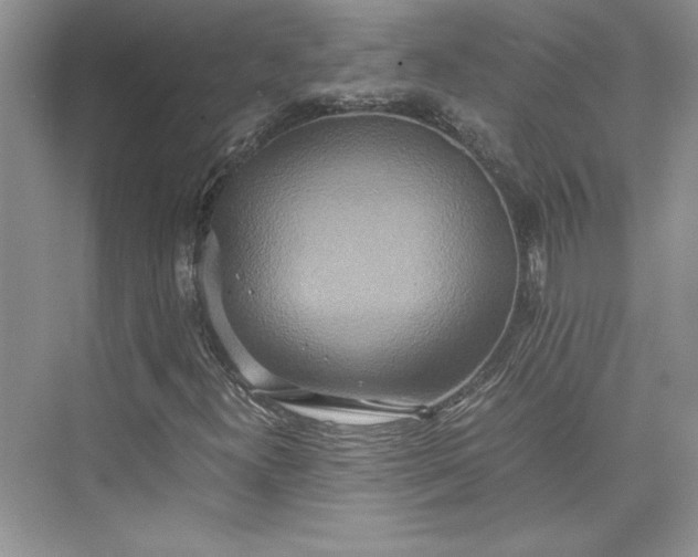 X0000075811300200609291334