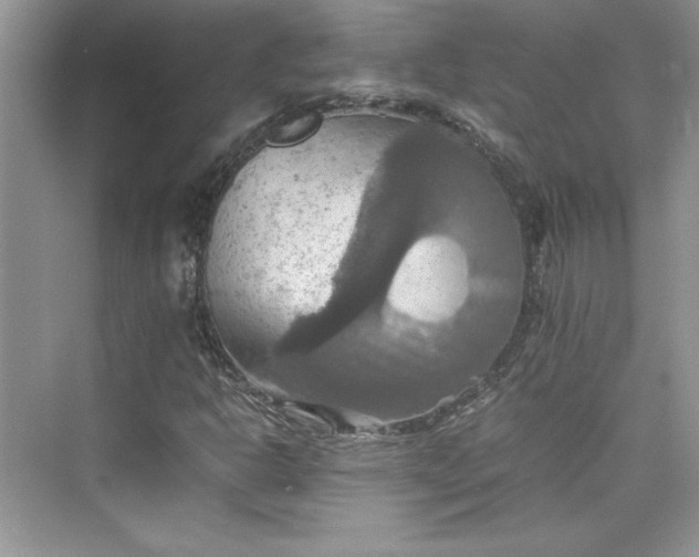 X0000075811302200609291334