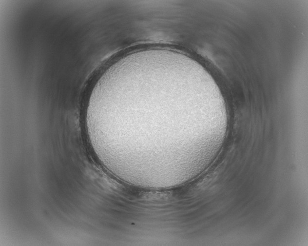 X0000075811307200609291335