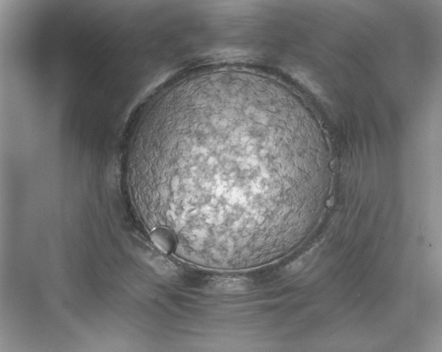 X0000075811309200609291335