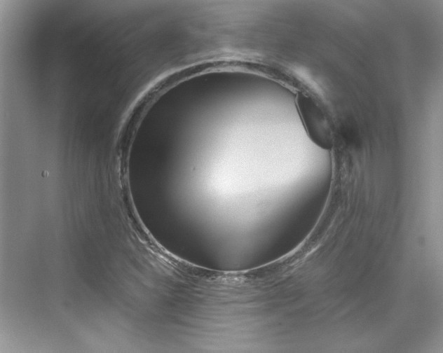 X0000075811310200609291335