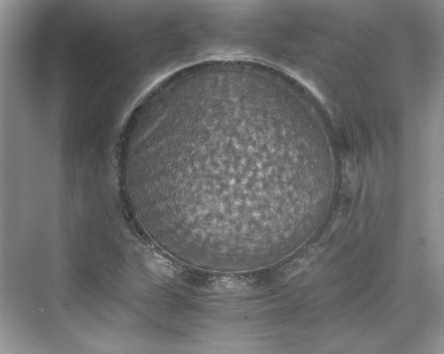 X0000075811311200609291335