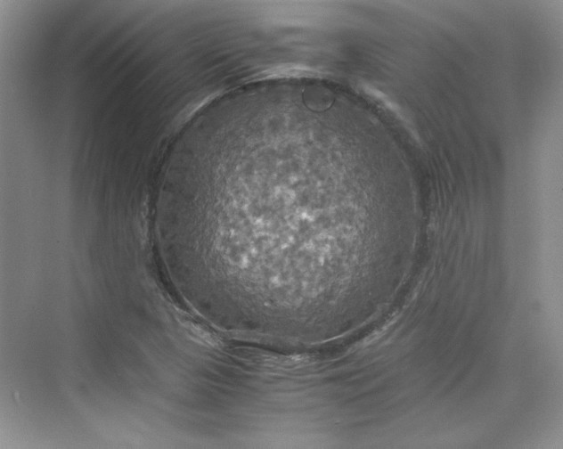 X0000075811313200609291335