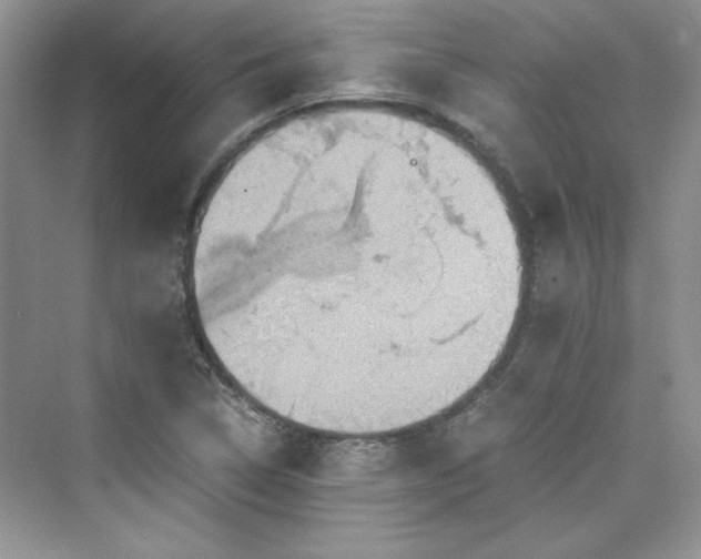 X0000075811314200609291335