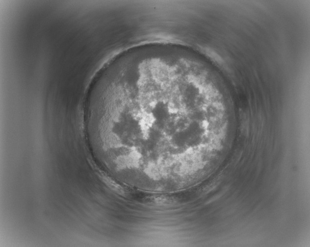 X0000075811318200609291335