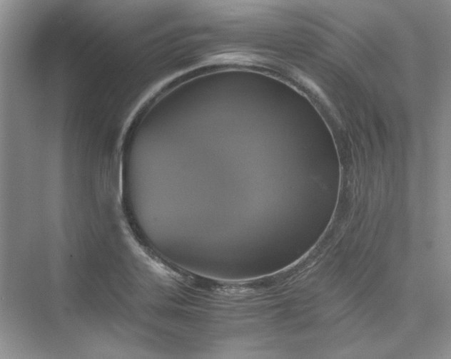 X0000075811323200609291335