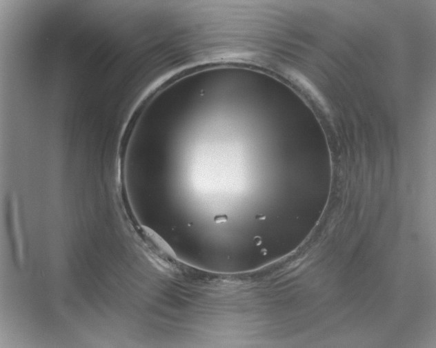 X0000075811324200609291335