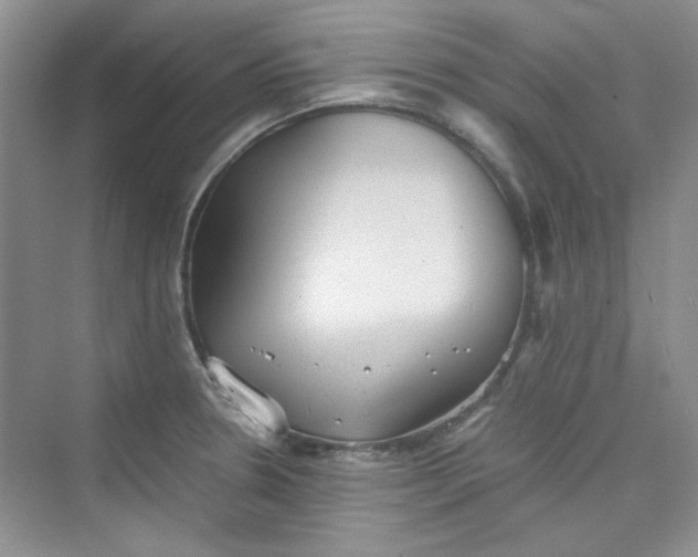 X0000075811330200609291335