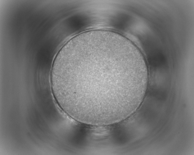 X0000075811338200609291335