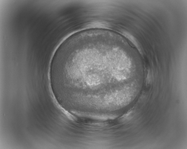 X0000075811339200609291335