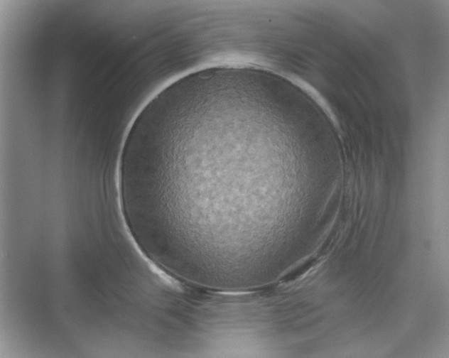 X0000075811343200609291335