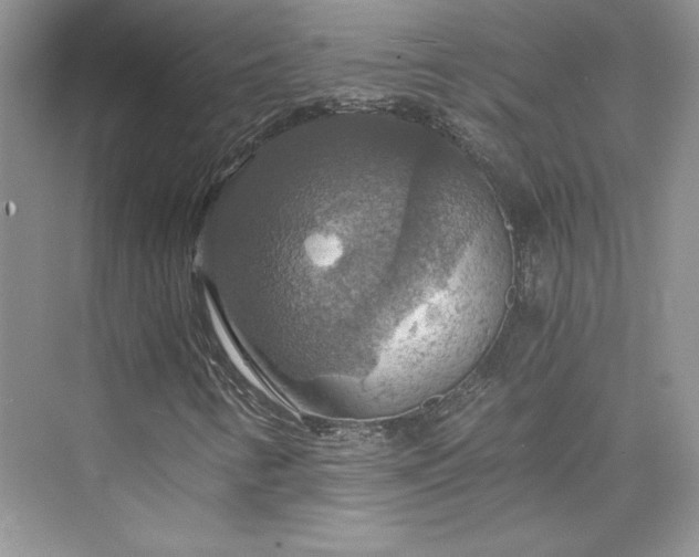 X0000075811346200609291334