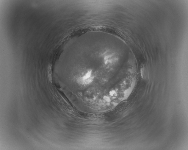 X0000075811347200609291334