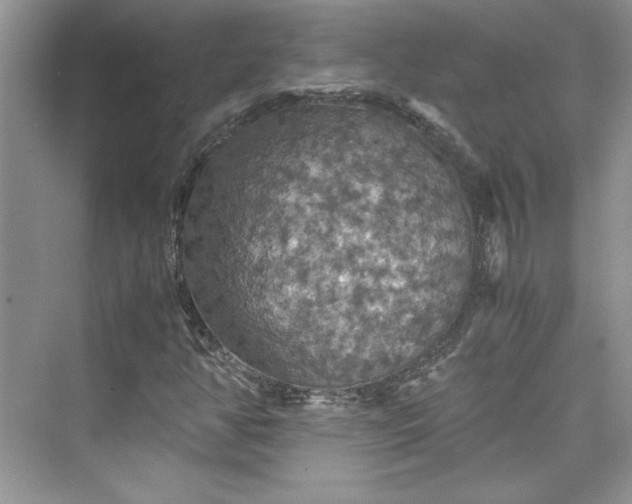 X0000075811350200609291334