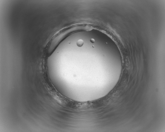 X0000075811352200609291334