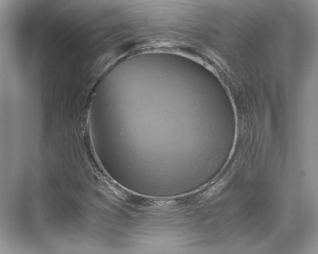 X0000075811353200609291334