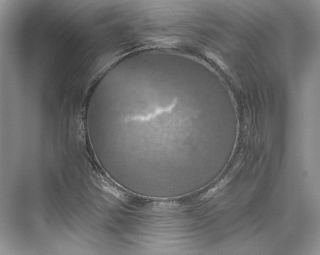 X0000075811354200609291334