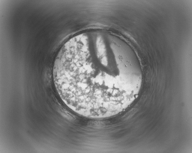 X0000075811355200609291334