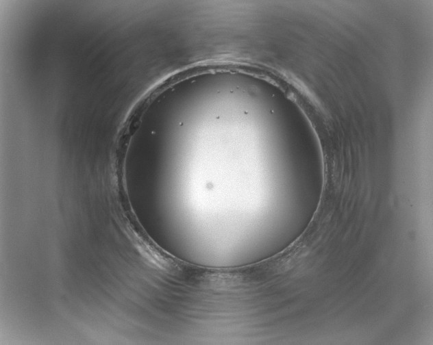 X0000075811356200609291334