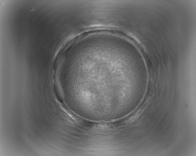 X0000075811357200609291334