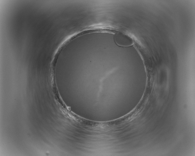 X0000075811358200609291334