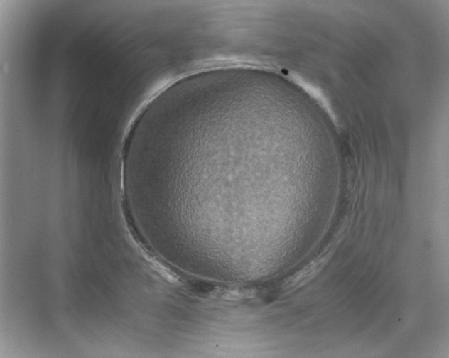 X0000075811365200609291334