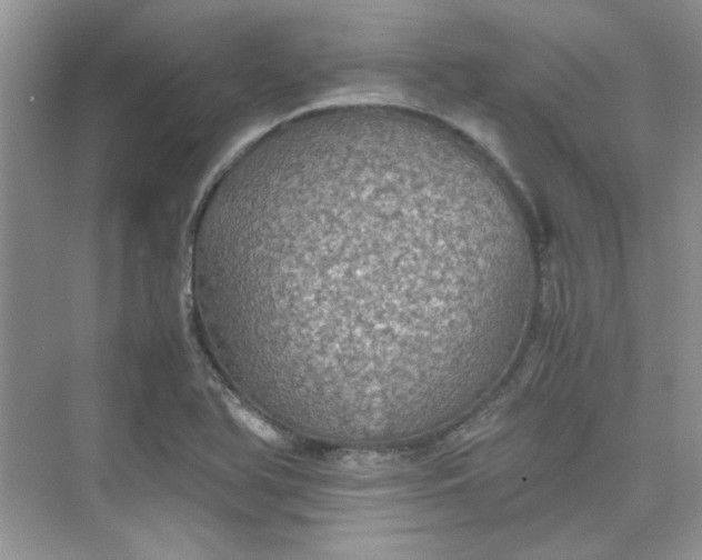 X0000075811366200609291334