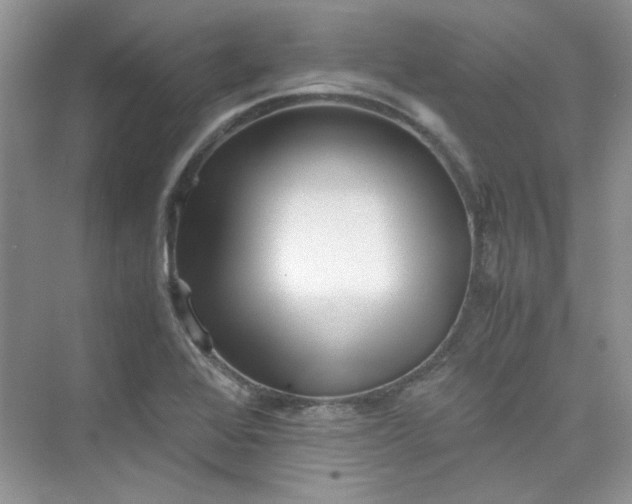 X0000075811368200609291334