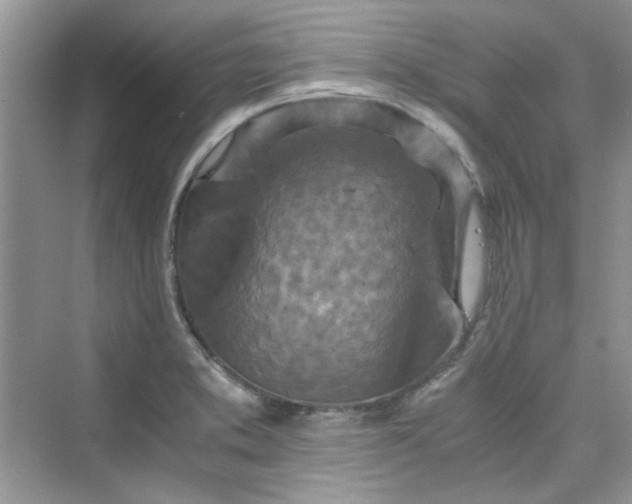 X0000075811373200609291334