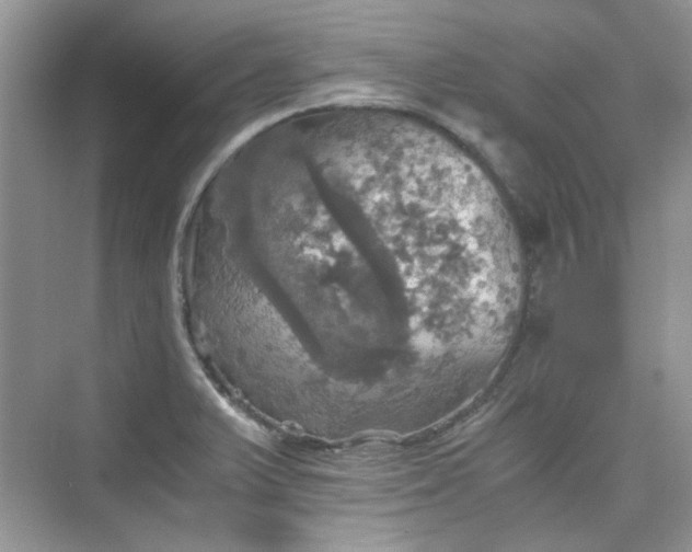 X0000075811375200609291334