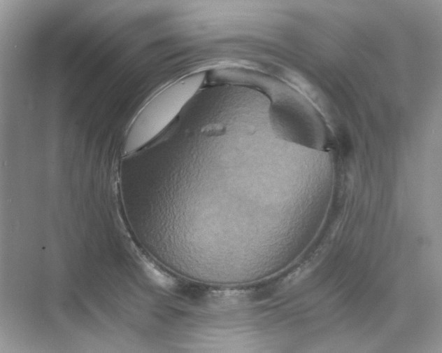 X0000075811377200609291334