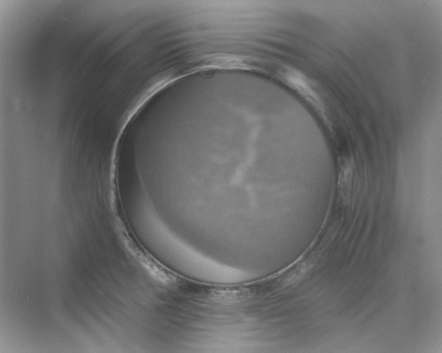 X0000075811378200609291334