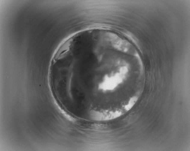 X0000075811379200609291334