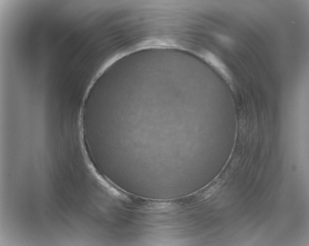 X0000075811382200609291334