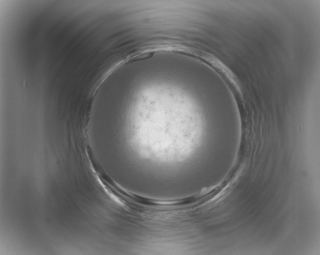 X0000075811385200609291334