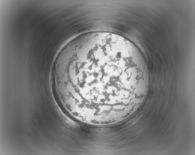 X0000075811387200609291334