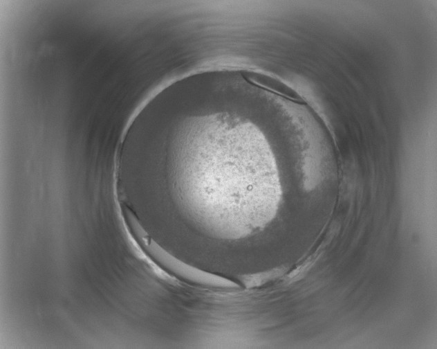 X0000075811390200609291334